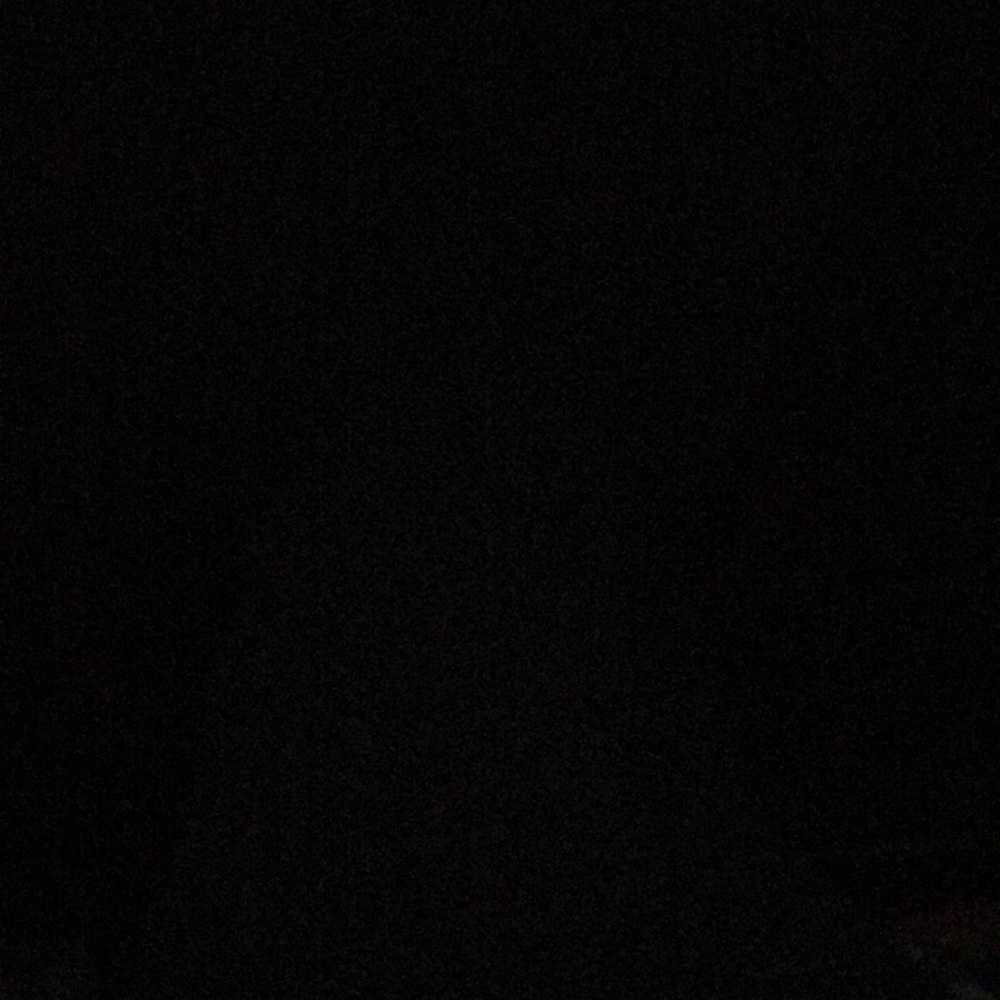 Meet your Posher, Joey